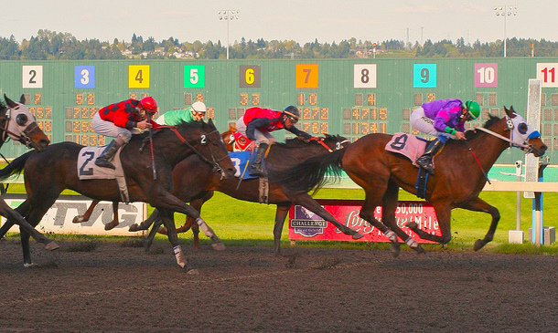 While Horseracing Declines Across Nation, Emerald Downs Still Hitting Full Stride